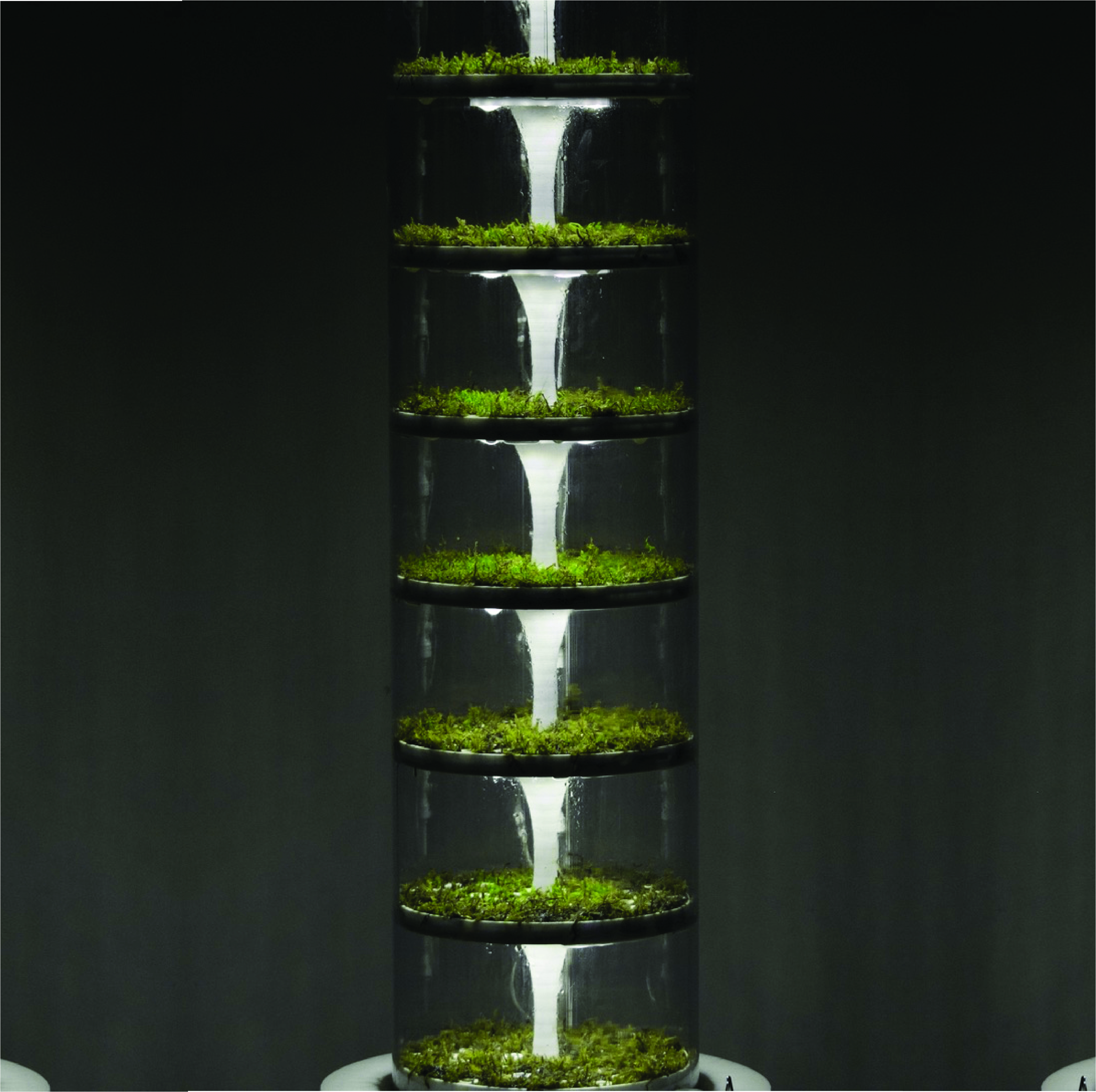 Column — tube detail