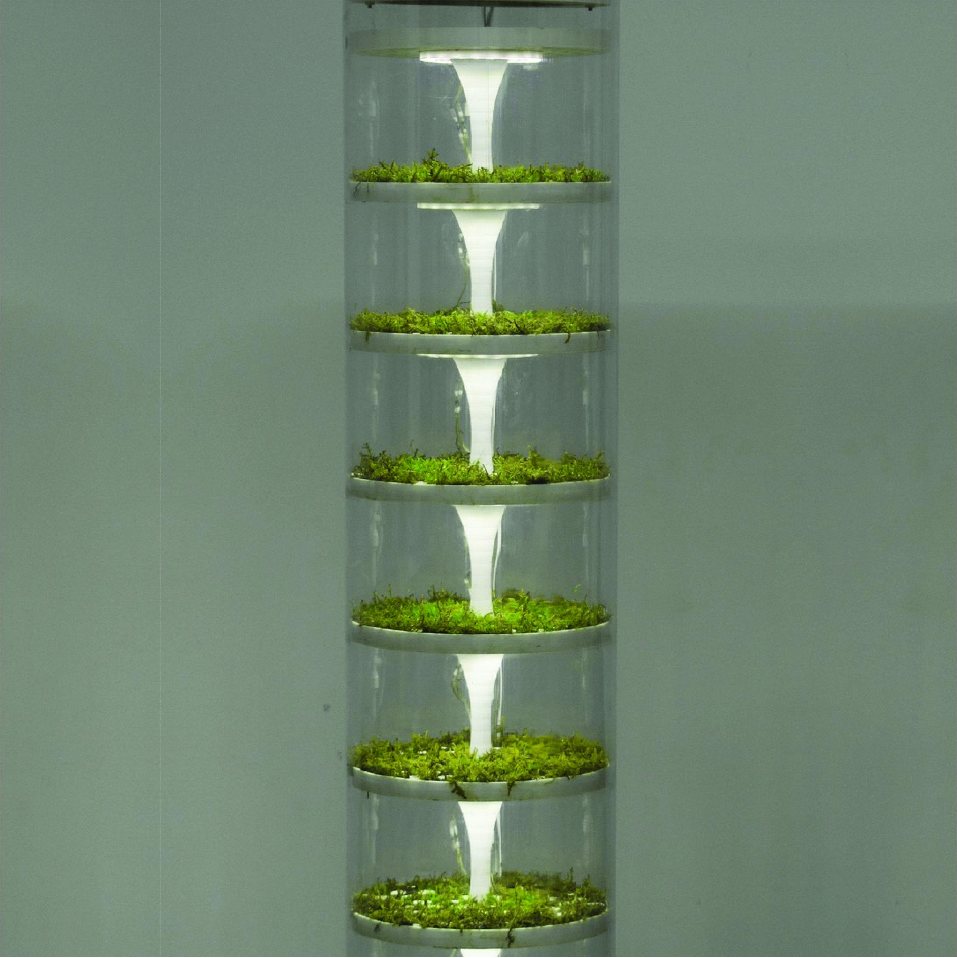 Column — moss filter stack detail