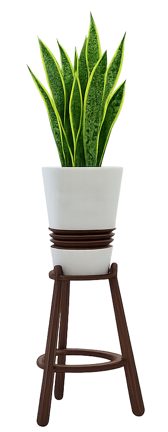 Vas — on its walnut stand